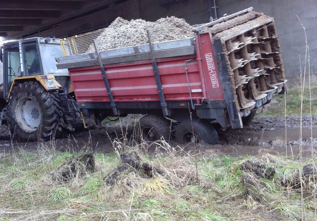 Te przejścia przeznaczone są dla zwierząt. Nie wszyscy sobie z tego zdają sprawę (zdjęcia)