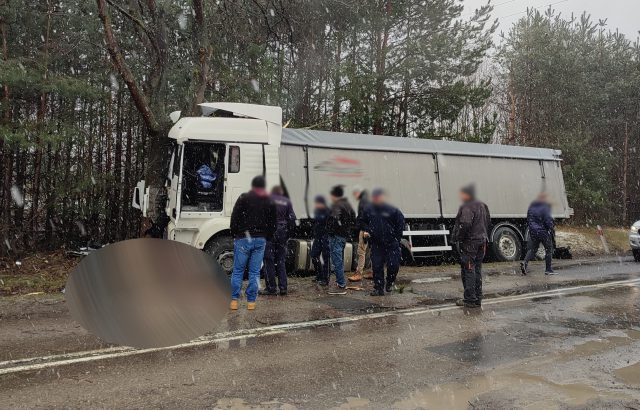 Ciężarówka wypadła z drogi i uderzyła w drzewo. Utrudnienia w ruchu na drodze wojewódzkiej (zdjęcia)