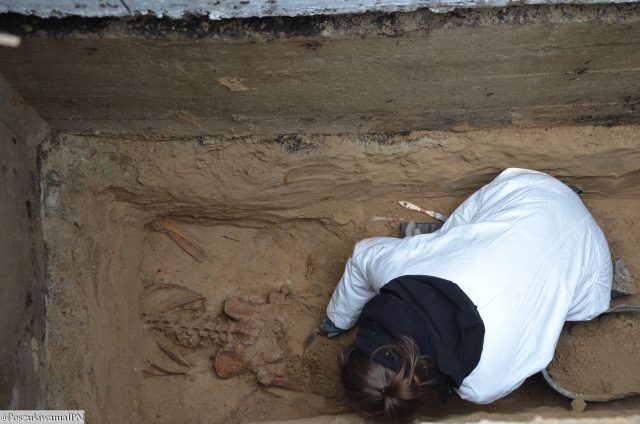 W czaszkach znajdowały się ślady po kulach. Na cmentarzu znaleziono kolejne ofiary reżimu komunistycznego (zdjęcia)