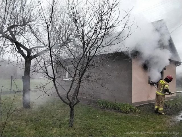Dom stanął w płomieniach, kobieta trafiła do szpitala. Z ogarniętego ogniem budynku strażacy wynieśli psa (zdjęcia)