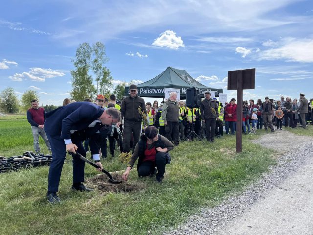 Najpierw posadzili Las Pamięci Jana Pawła II, teraz Aleję składającą się z 300 dębów (zdjęcia)