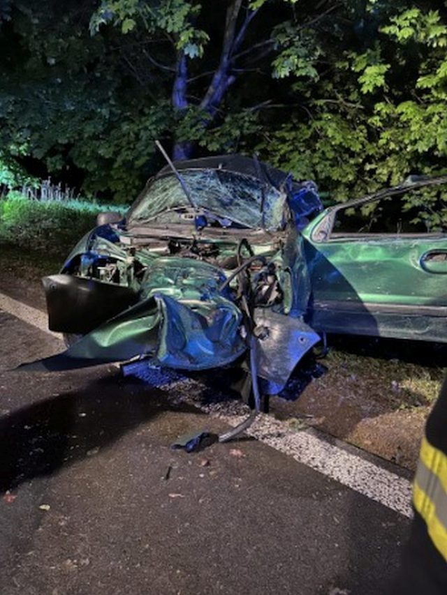 Renault uderzył w drzewo. Kierowca zostawił ciężko rannego pasażera i uciekł do lasu (zdjęcia)