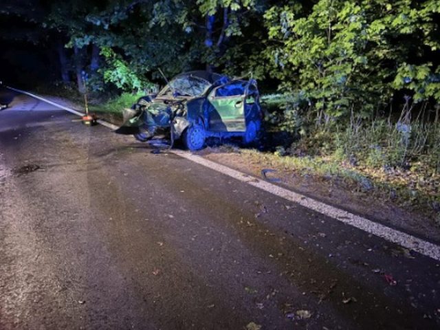 Renault uderzył w drzewo. Kierowca zostawił ciężko rannego pasażera i uciekł do lasu (zdjęcia)
