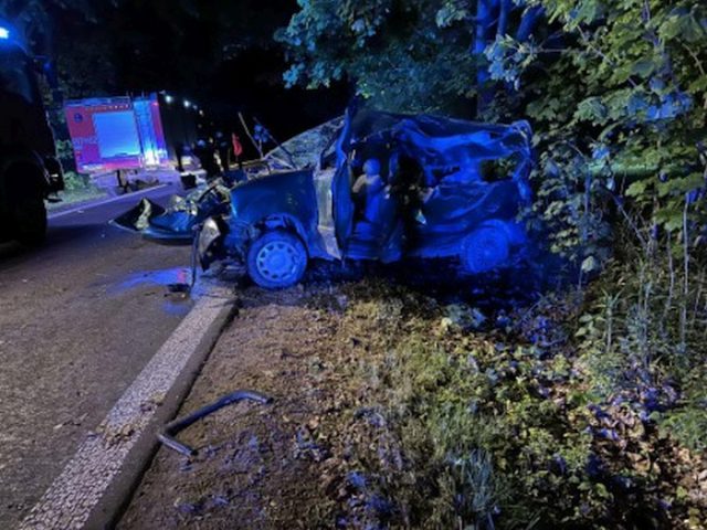 Renault uderzył w drzewo. Kierowca zostawił ciężko rannego pasażera i uciekł do lasu (zdjęcia)