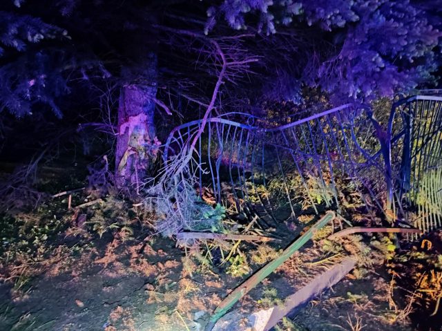 Skoda uderzyła w ogrodzenie i drzewo. Pijany mężczyzna zapewniał, że był tylko pasażerem (zdjęcia)