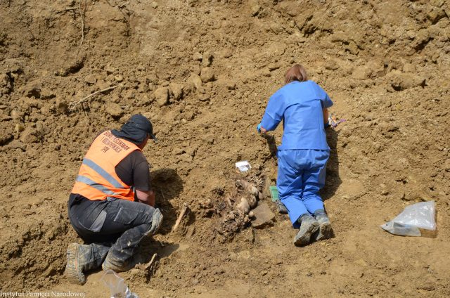 Co krok natrafiają na kolejne ludzkie szczątki. Naukowcy pozostają na górkach czechowskich