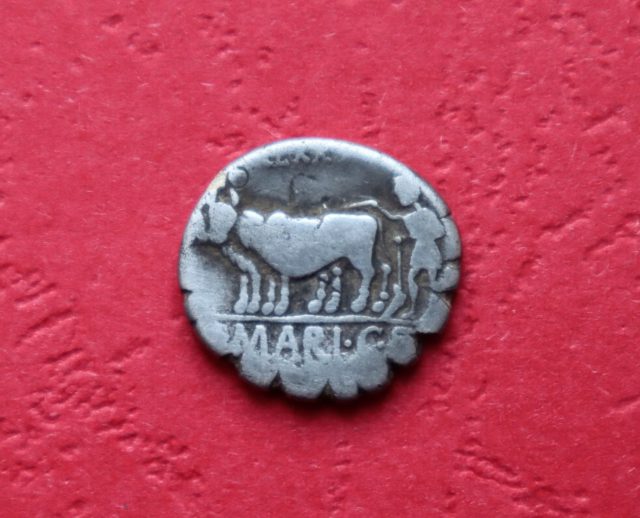 Wykrywaczem metali znalazł niezwykłą monetę (zdjęcia)