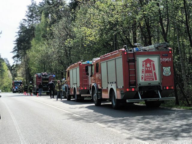 Źle zagaszone ognisko w lesie przyczyną pożaru. Cztery zastępy strażaków w akcji (zdjęcia)