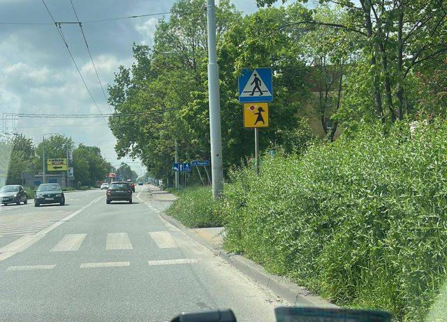 Kierowcy: „Trawa zarasta skrzyżowania i przejścia dla pieszych”. Miasto Lublin: „Prace związane z koszeniem w pasach drogowych, zostały zintensyfikowane” (zdjęcia)