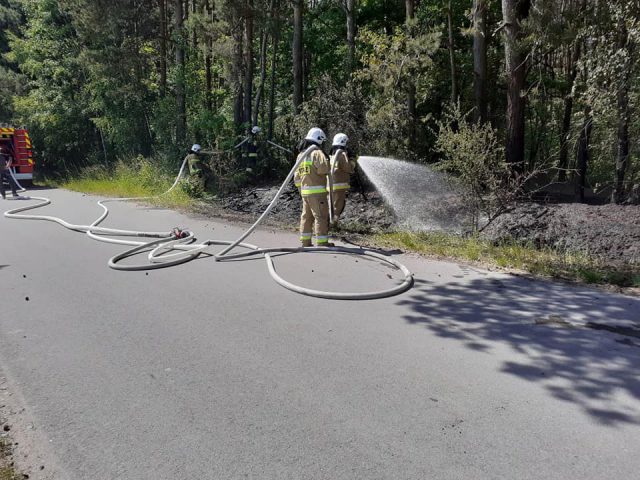Pożar podszycia leśnego, interweniowało pięć zastępów straży pożarnej (zdjęcia)