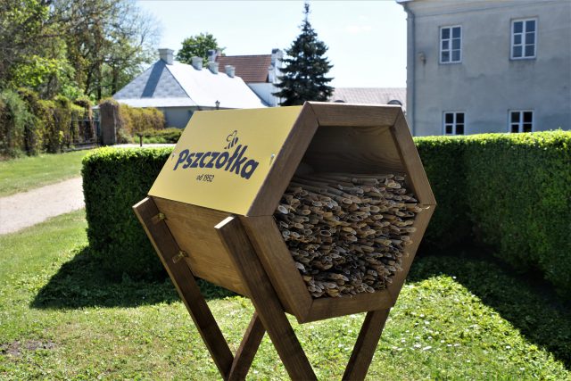 W Chełmie powstał pierwszy hotel dla wolno bytujących pszczół. Zamieszkały w nim „murarki” (zdjęcia)