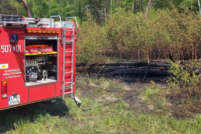 Strażacy walczyli z pożarem poszycia leśnego w Puławach (zdjęcia)