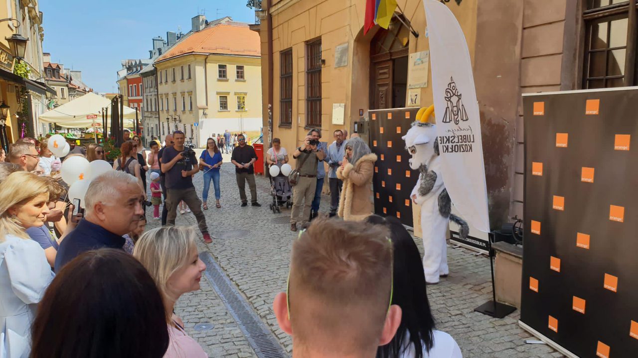 Rodzina lubelskich koziołków coraz liczniejsza. Światłowid znajduje się na Starym Mieście