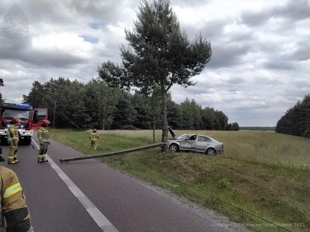 Pozbawione kontroli auto wypadło z drogi. Skoda uderzyła w słup i drzewo (zdjęcia)