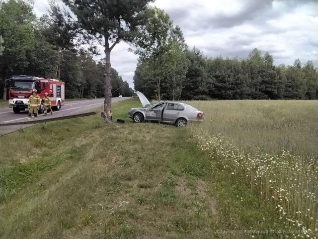 Pozbawione kontroli auto wypadło z drogi. Skoda uderzyła w słup i drzewo (zdjęcia)