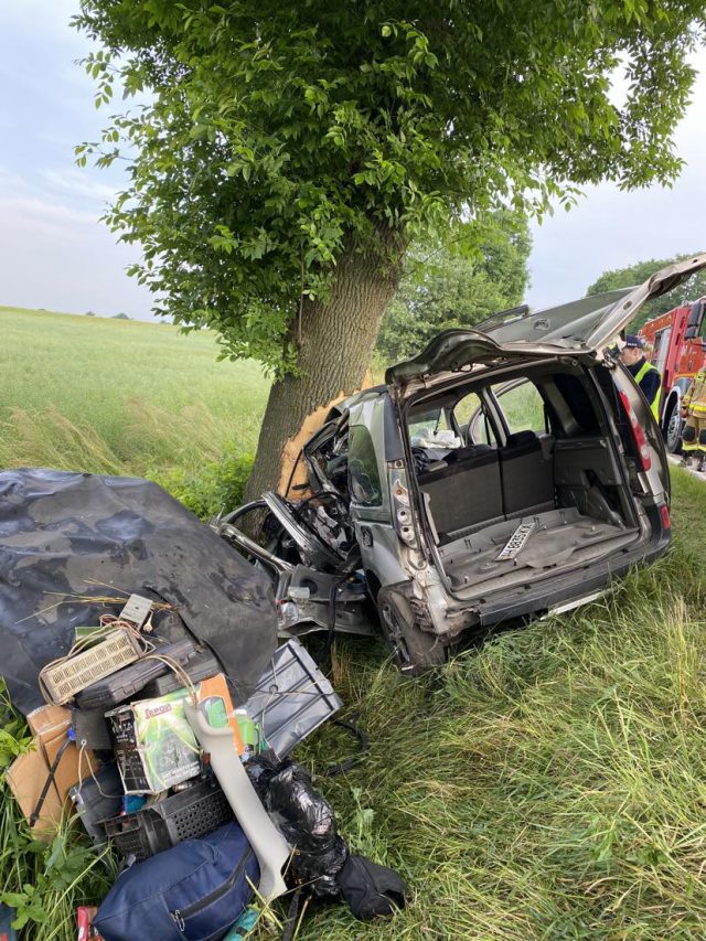 Renault wypadł z jezdni i wbił się w drzewo. Dwie osoby zostały ranne (zdjęcia)