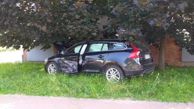 Volvo bez hamulców wypadło z jezdni, zatrzymało się między drzewami. Sprawczyni kolizji uciekła (zdjęcia)