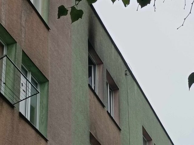 Pożar mieszkania w bloku. Na miejscu pracują służby ratunkowe, jedna osoba jest poszkodowana (zdjęcia, wideo)