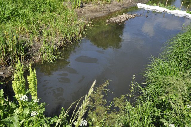 „Zutylizowali” odpady ropopochodne wlewając je do instalacji burzowej (zdjęcia)