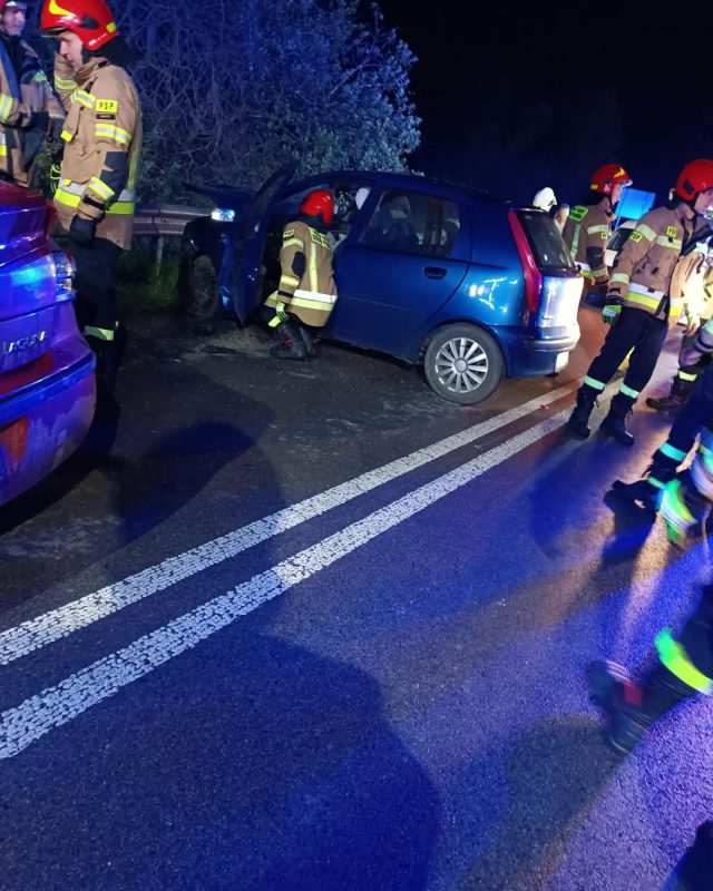 Tragiczny wypadek pod Zamościem. Nie żyje 19-latka (zdjęcia)