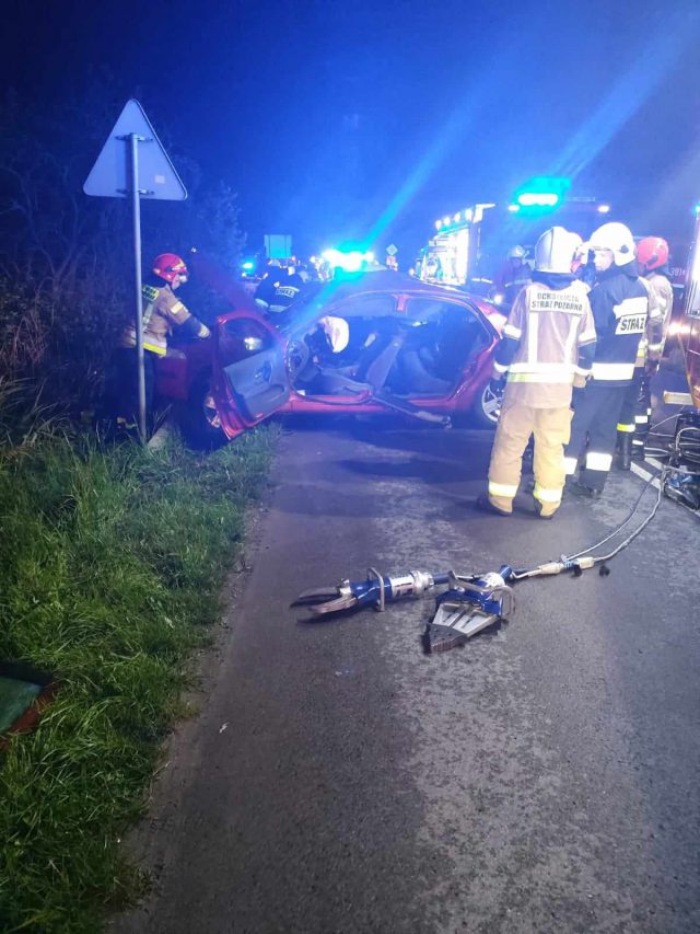 Tragiczny wypadek pod Zamościem. Nie żyje 19-latka (zdjęcia)