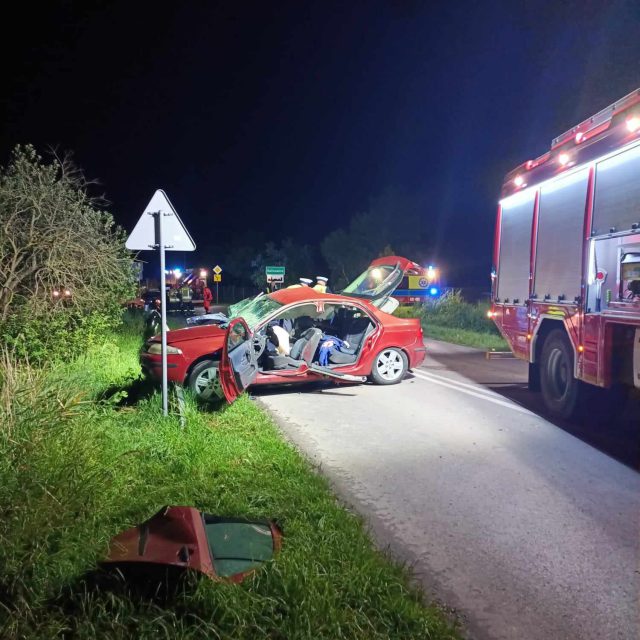 Tragiczny wypadek pod Zamościem. Nie żyje 19-latka (zdjęcia)