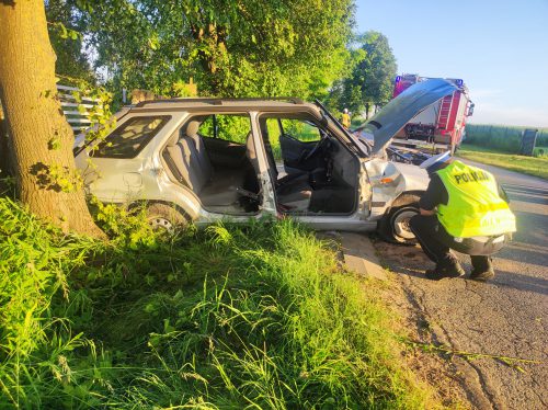 Skoda uderzyła przepust, drzewo i ogrodzenie. Dwie osoby są ranne, droga jest zablokowana (zdjęcia)