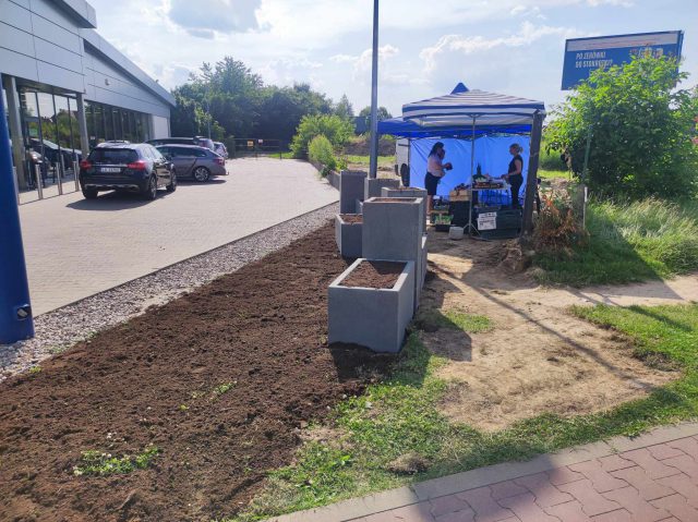 Supermarket kontra stoisko lokalnego rolnika. Jedni mówią o zagospodarowaniu zieleni, drudzy o uniemożliwianiu handlu (zdjęcia)