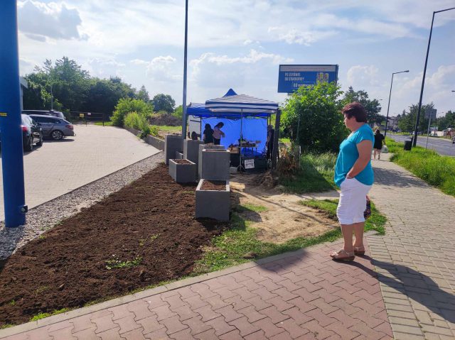 Supermarket kontra stoisko lokalnego rolnika. Jedni mówią o zagospodarowaniu zieleni, drudzy o uniemożliwianiu handlu (zdjęcia)