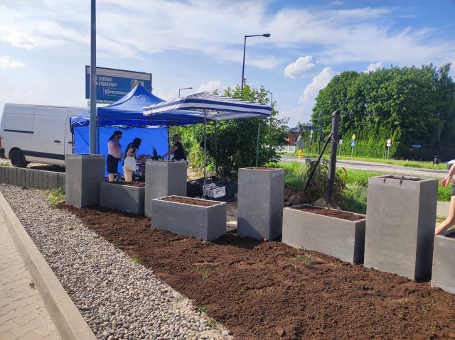 Supermarket kontra stoisko lokalnego rolnika. Jedni mówią o zagospodarowaniu zieleni, drudzy o uniemożliwianiu handlu (zdjęcia)