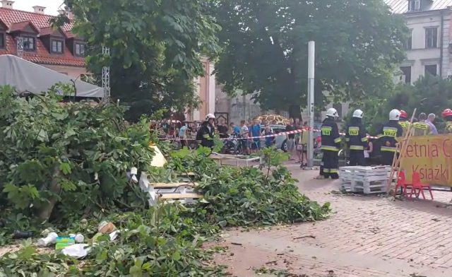 Wzrosła liczba poszkodowanych przez złamany konar w Zamościu. Część osób ma poważne obrażenia (zdjęcia)