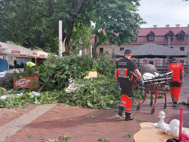 Potężny konar drzewa spadł na ludzi. Jest kilka osób poszkodowanych (zdjęcia)
