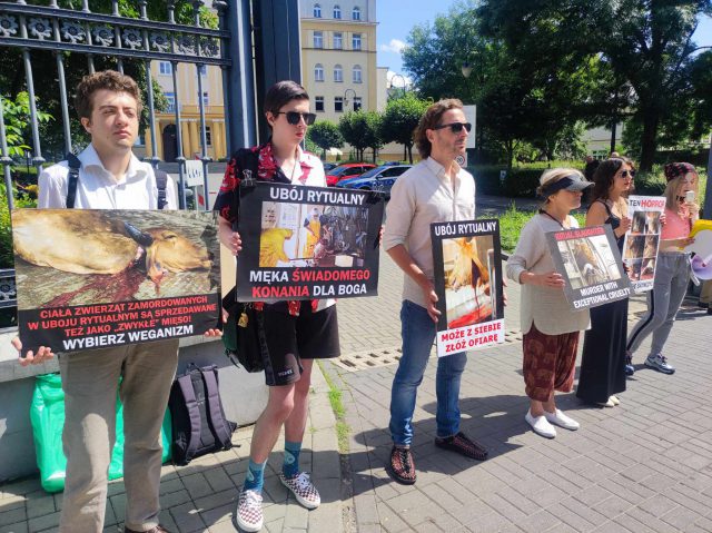 Przed lubelską synagogą protestowali przeciwko ubojowi rytualnemu zwierząt (zdjęcia)