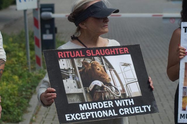 Przed lubelską synagogą protestowali przeciwko ubojowi rytualnemu zwierząt (zdjęcia)
