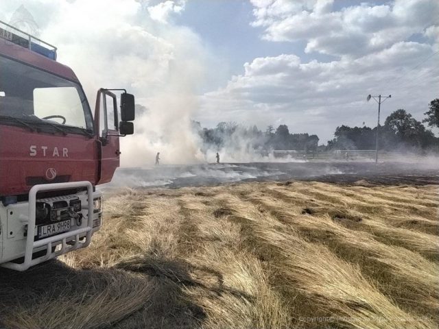 Strażacy walczyli z pożarem siana na łące (zdjęcia)
