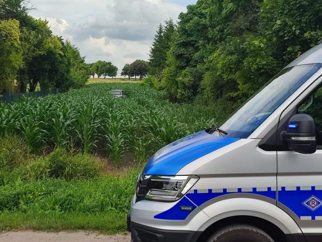 Uciekał fordem po polu kukurydzy. Był trzeźwy, ale miał powód ucieczki (zdjęcia)