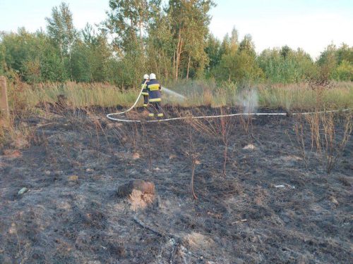 Duży pożar zboża oraz nieużytków rolnych. W akcji gaśniczej 12 zastępów straży pożarnej (zdjęcia)