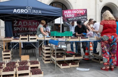 Sadownicy przywieźli pod ministerstwo pół tony owoców. Sprzedają je mieszkańcom stolicy (zdjęcia)