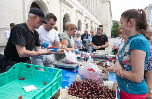 Sadownicy przywieźli pod ministerstwo pół tony owoców. Sprzedają je mieszkańcom stolicy (zdjęcia)