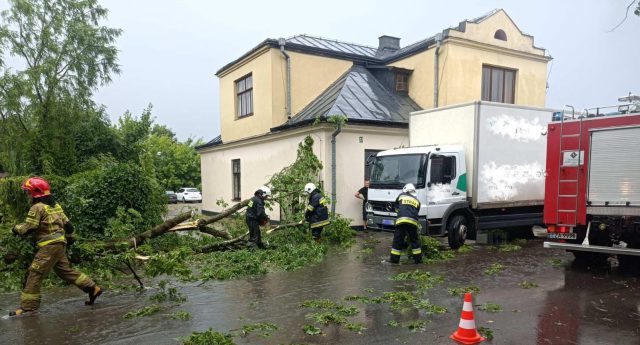 Powalone drzewa, uszkodzone pojazdy. Obraz po burzach w powiecie zamojskim (zdjęcia)