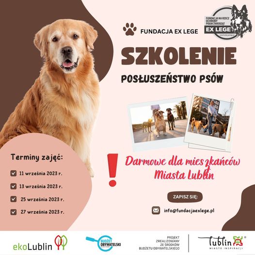 W Lublinie będą bezpłatne szkolenia z zakresu posłuszeństwa psów. Zorganizuje je Fundacja EX LEGE
