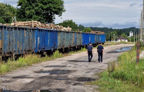 Niebezpieczne pozostałości z czasów II wojny światowej na przebudowie linii kolejowej (zdjęcia)