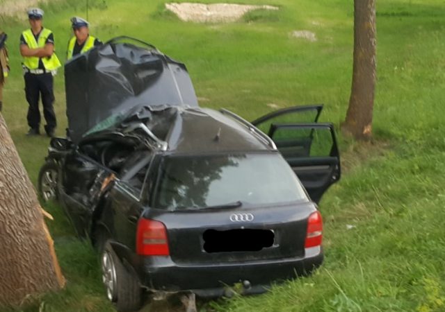 Audi uderzyło w drzewo, w środku znajdowała się zakleszczona osoba (zdjęcia)