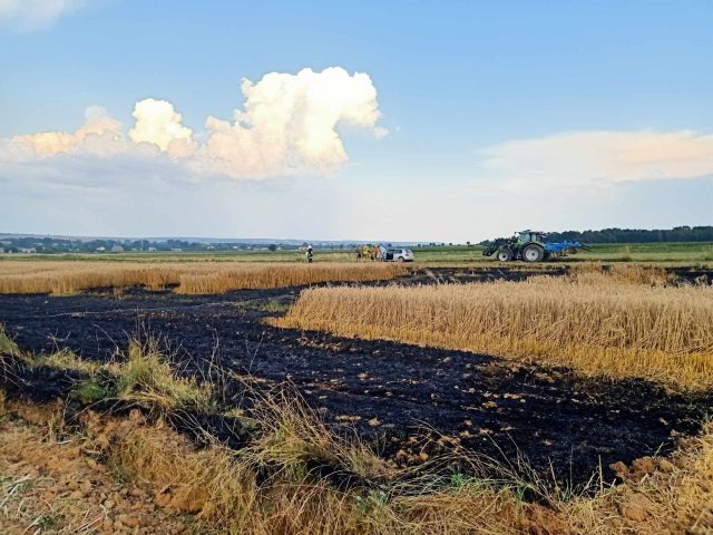Wysyp pożarów w rolnictwie. Ogień pojawia się również w lasach (zdjęcia)