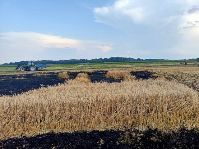 Wysyp pożarów w rolnictwie. Ogień pojawia się również w lasach (zdjęcia)