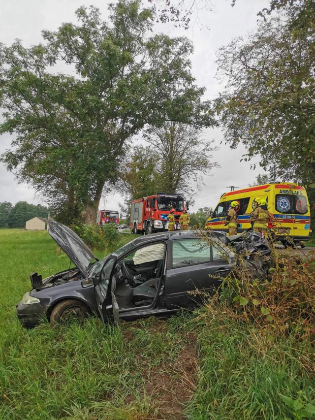 Renault wypadł z drogi i uderzył w drzewo. Jedna osoba trafiła do szpitala (zdjęcia)
