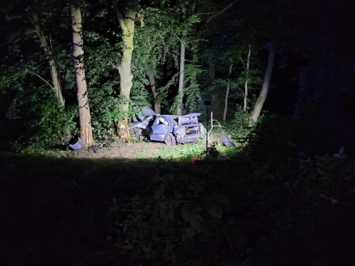 Auto osobowe wypadło z drogi, zatrzymało się w lesie. Strażacy musieli użyć narzędzi hydraulicznych (zdjęcia)
