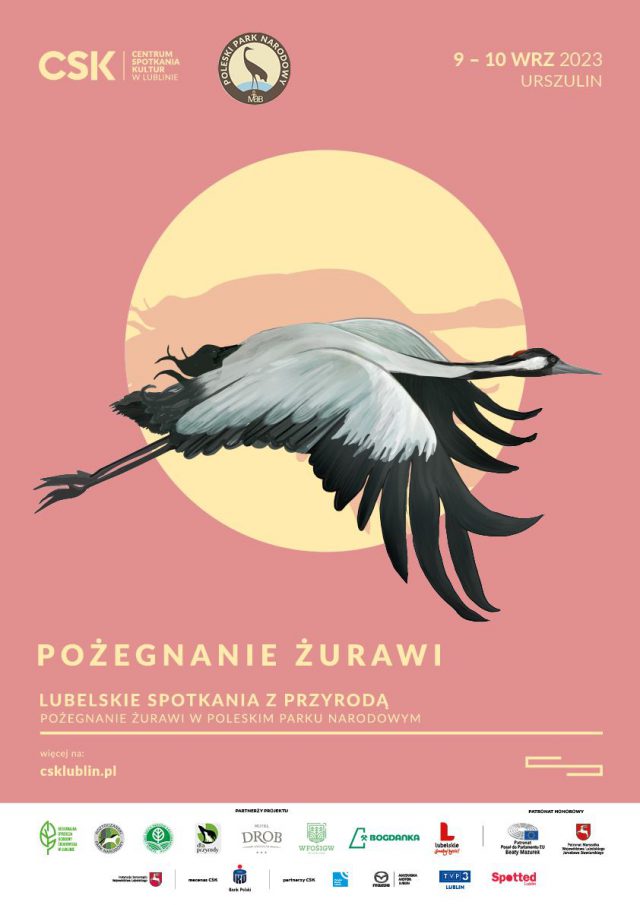 W Poleskim Parku Narodowym policzą i pożegnają żurawie. To gratka dla miłośników przyrody