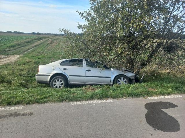 Skoda wypadła z drogi i uderzyła w drzewo. Życia kierowcy nie udało się uratować (zdjęcia)