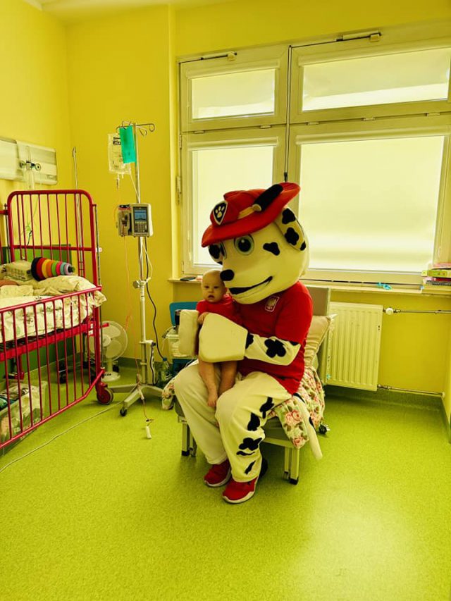 Jeździ po kraju i niesie radość dzieciom. Marshall – Pies do zadań specjalnych odwiedził lubelski szpital (zdjęcia)